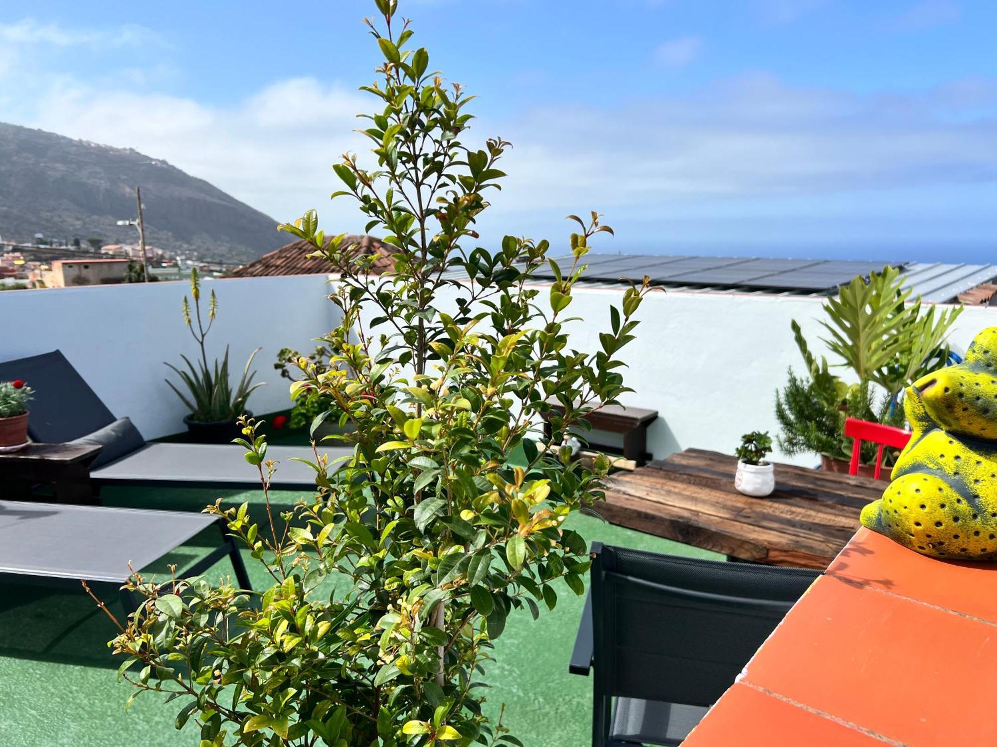 The Little Brezo Stone Home Tenerife Los Realejos Eksteriør bilde